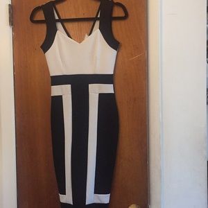 Privy black and white dress